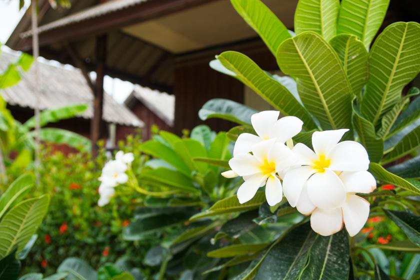Weekender Bungalow Lamai Beach  ภายนอก รูปภาพ
