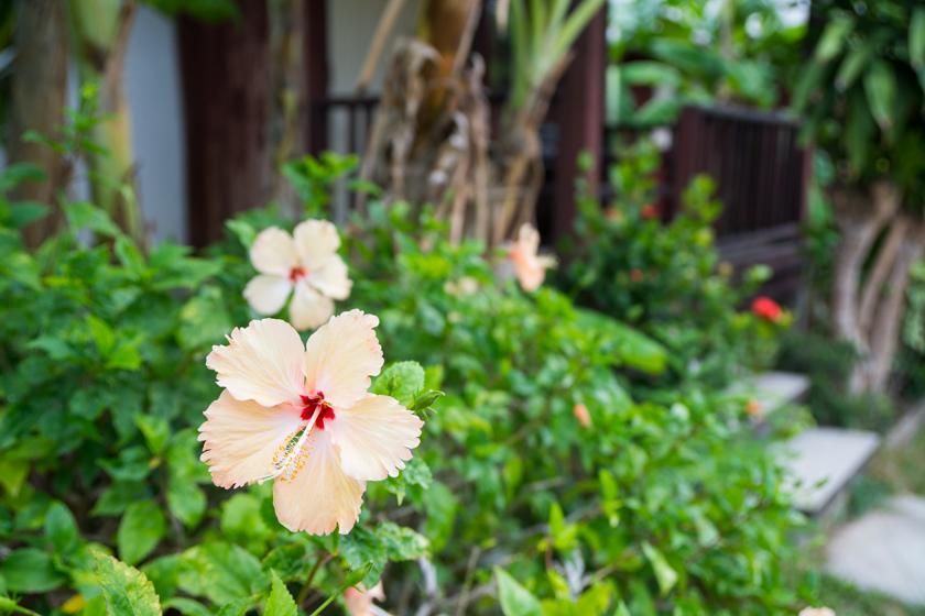 Weekender Bungalow Lamai Beach  ภายนอก รูปภาพ